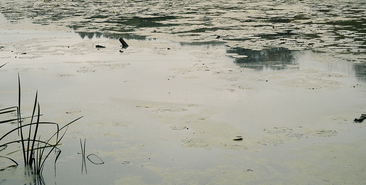 MAIN TEXT, CONTENT TEXT TEA Town