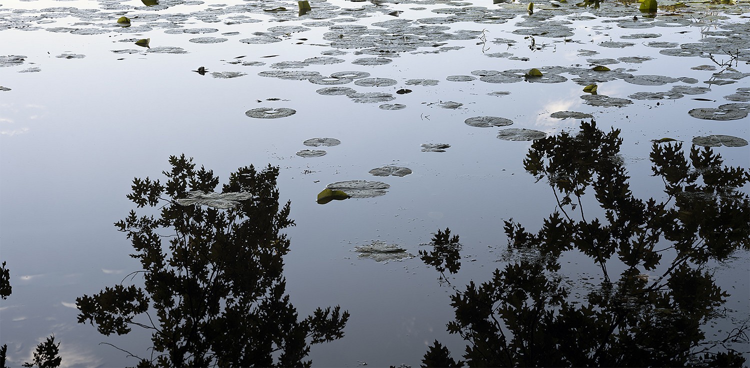 MAIN TEXT, CONTENT TEXT Tea Town V