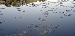 News: SAMPLE NEWS, September 15, 2021 - me